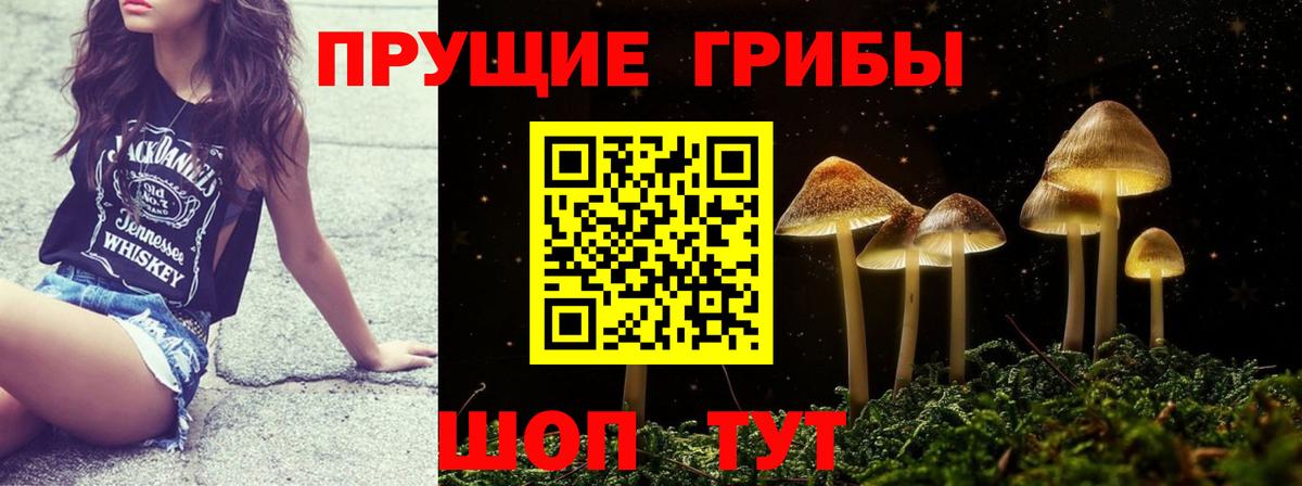 Псилоцибиновые грибы Cubensis  Вход с VPN  что такое наркотик  Котлас 