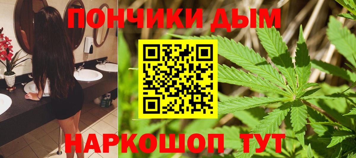 МАРИХУАНА THC 21%  Вход с VPN  Котлас  Бошки марихуана конопля  Конопля ГИДРОПОН  Марихуана THC 21% 